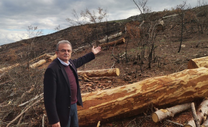 GİRGİN YANGIN SONRASI TALAN İDDİALARINI MECLİSE TAŞIDI!