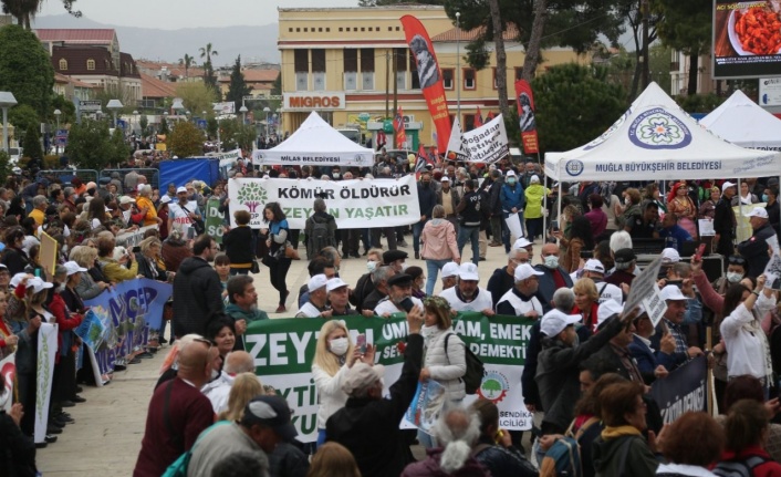 Zeytinin Başkenti Milas’ta Zeytin Mitingi