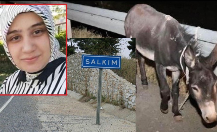 BAŞIBOŞ EŞEK CAN ALDI