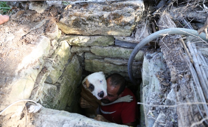 5 GÜNDÜR ARANAN KÖPEK KUYUDA BULUNDU
