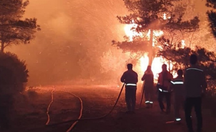 Gürün: yangın 1439 futbol sahası büyüklüğündeki bir alanı etkiledi