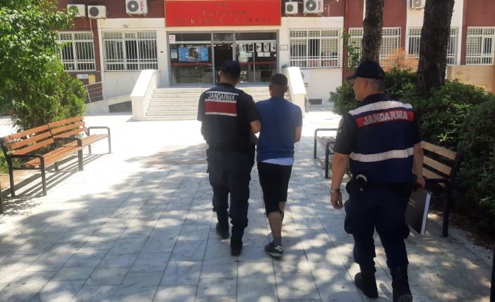 MADDE KULLANDI, ORMANI YAKTI !