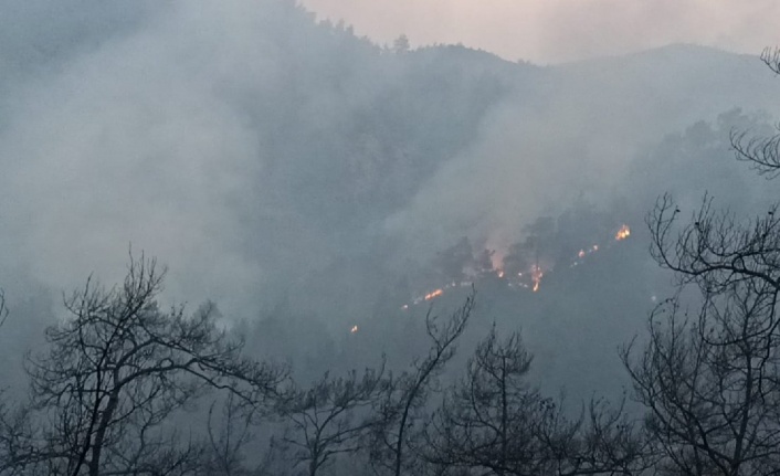 MARMARİS’TE YANGIN SÜRÜYOR!