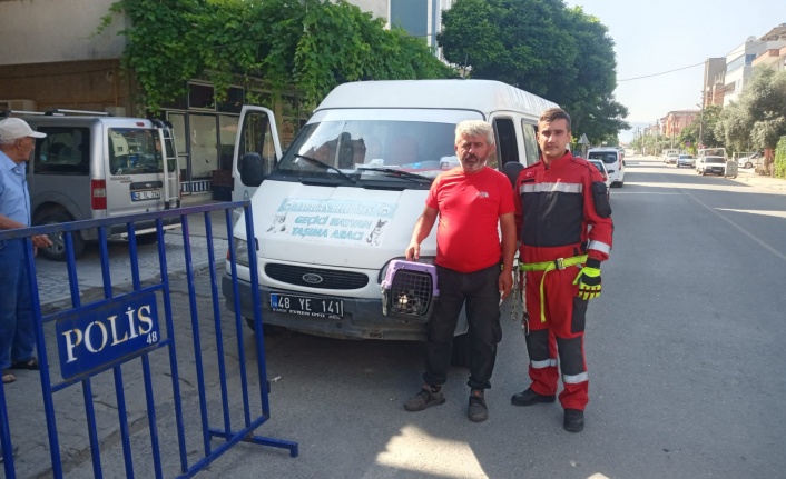 Yatağan’da apartmanın beşinci katında mahsur kalan kediyi itfaiye kurtardı