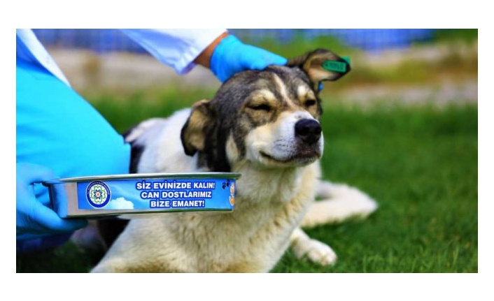 Can dostlar için 5 bin 268 kilogram mama üretildi