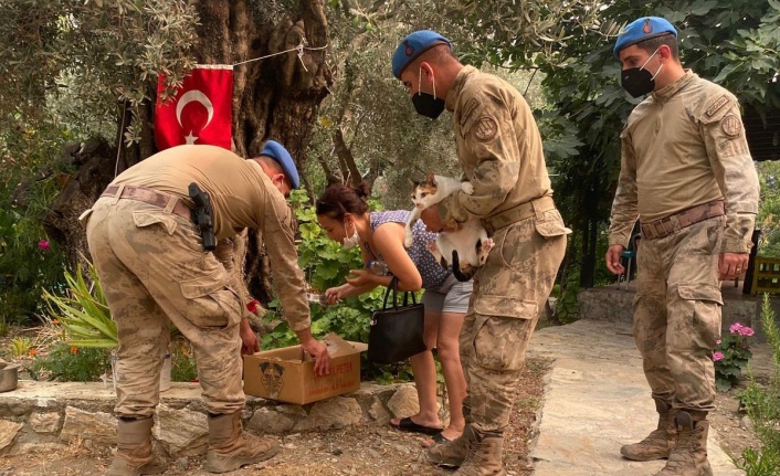 JANDARMA EKİPLERİ YANGIN BÖLGESİNDE MÜCADELE VERİYOR