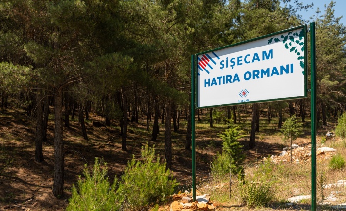 Yatağan’da 400 Dönümlük Şişecam Hatıra Ormanı 
