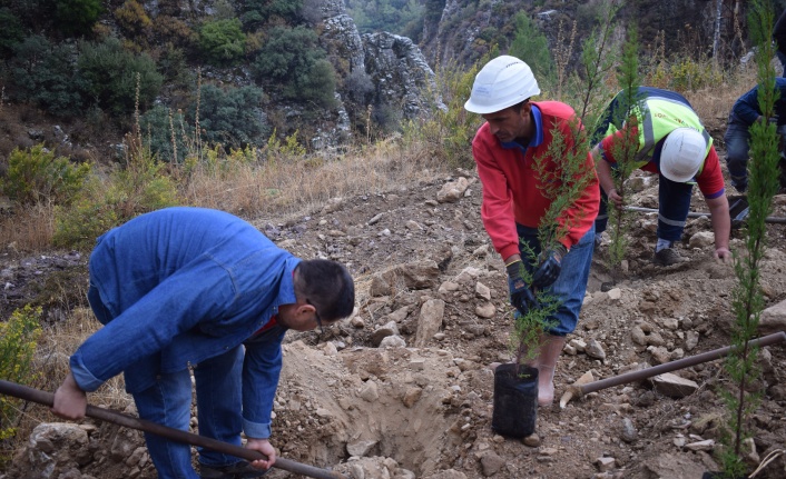 YK ENERJİ, SON 3 YILDA 1 MİLYONU AŞKIN FİDANI TOPRAKLA BULUŞTURDU