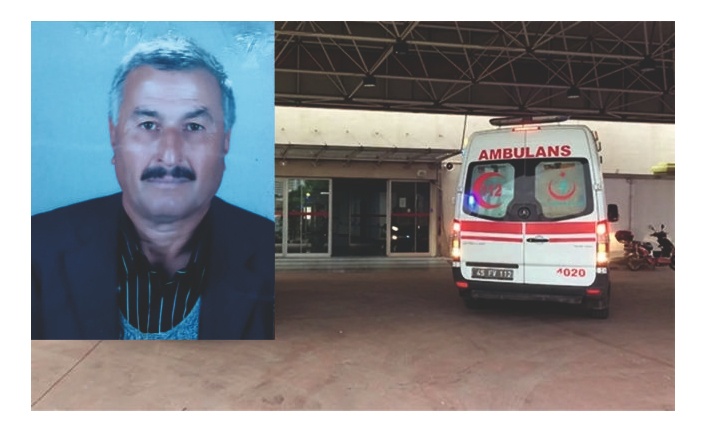 Ağaçtan Düşen Vatandaş Hayatını Kaybetti