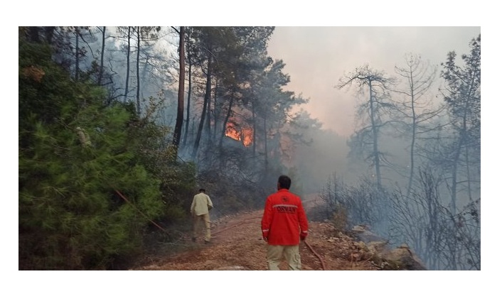 Gökova’daki orman yangını kontrol altına alındı