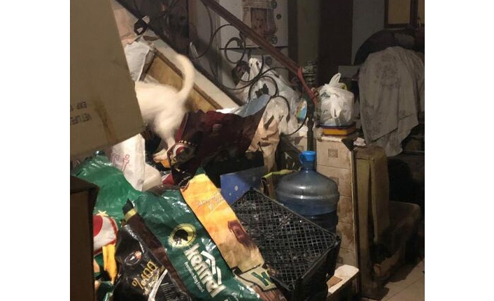 Evinde kedi ve köpek ölüleri bulundu; ‘Bazısını gömdüm, bazısını torbalayıp balkona koydum’ dedi