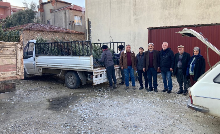 Yatağan Ziraat Odası fidan dağıtımına başladı