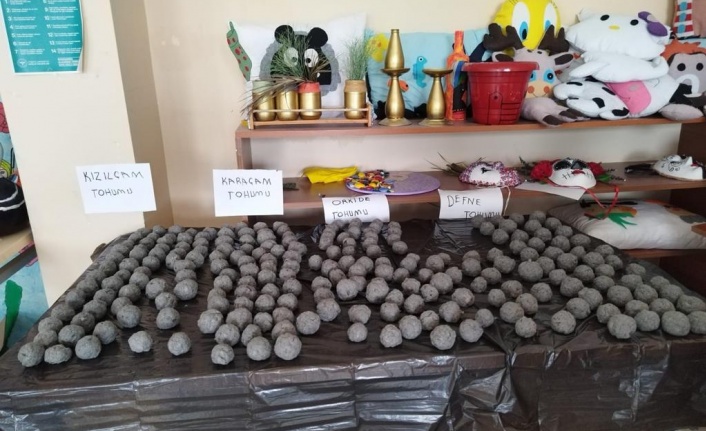 Tohum bombaları toprakla buluştu