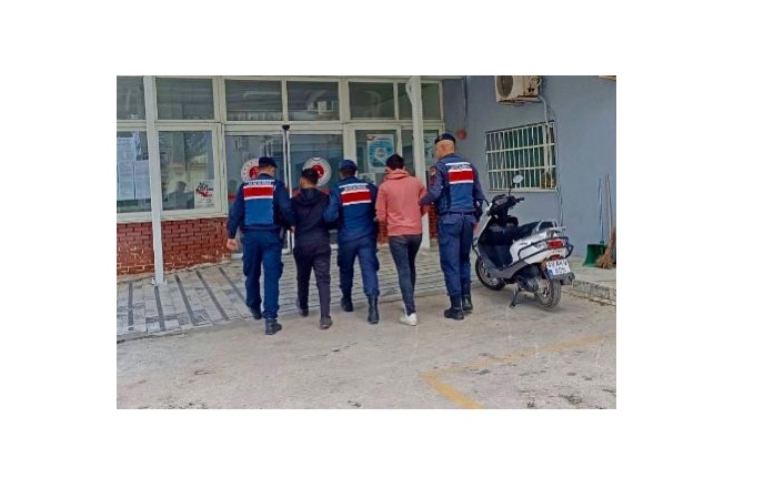 YATAĞAN’DA ZEYTİNYAĞI HIRSIZLARI TUTUKLANDI