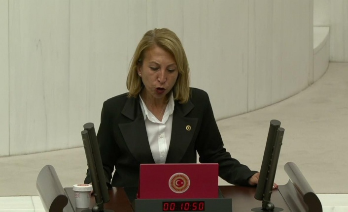 Süreyya Öneş Derici, Ali Yerlikaya’ya Göç Anlaşmasını Sordu