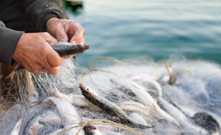 Balık ihracatı 1 milyar doları aştı