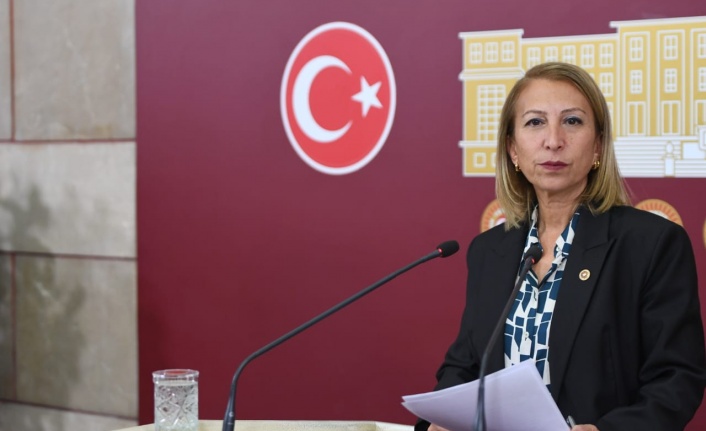 CHP’li Süreyya Öneş Derici’den ’dış politikada tutarlı ve istikrarlı duruş’ vurgusu