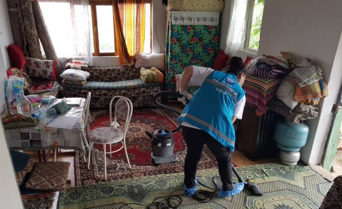 Kırsaldaki çınarlara yerinde hizmet