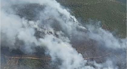 PINARLIBELEN YANGINI SÜRÜYOR