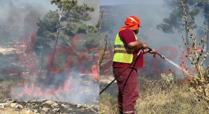 Kavaklıdere'nin Topçamlar Mahallesi'nde Çıkan Orman Yangını Kontrol Altında