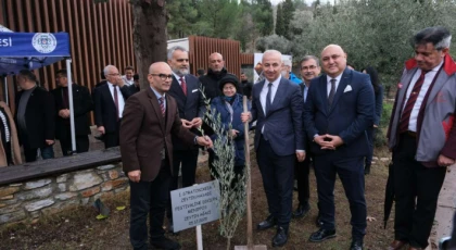 STRATONİKEİA’DA 1. ZEYTİN HASAT FESTİVALİ GERÇEKLEŞTİRİLDİ