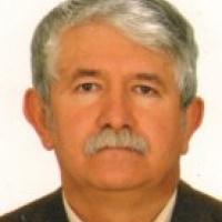 Prof. Dr. Kemal Kocabaş